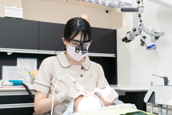 定期健診・メインテナンス